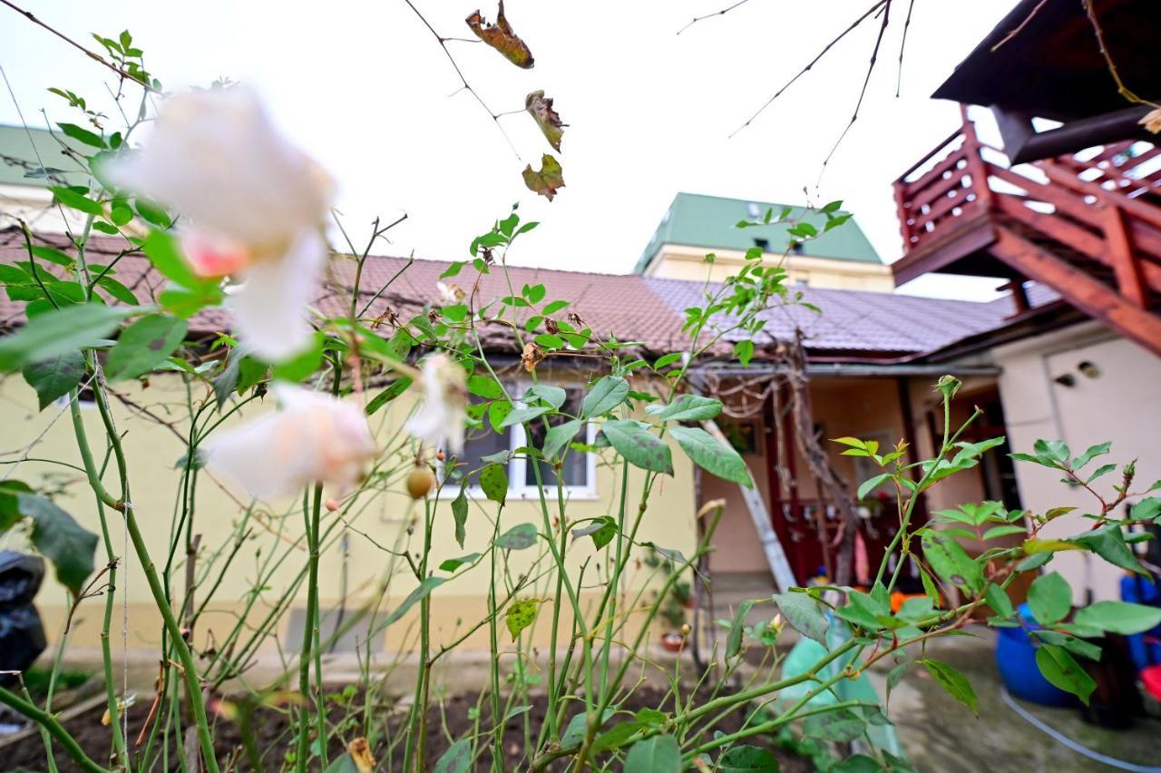 Flh - Kaly'S Place Sibiu Luaran gambar